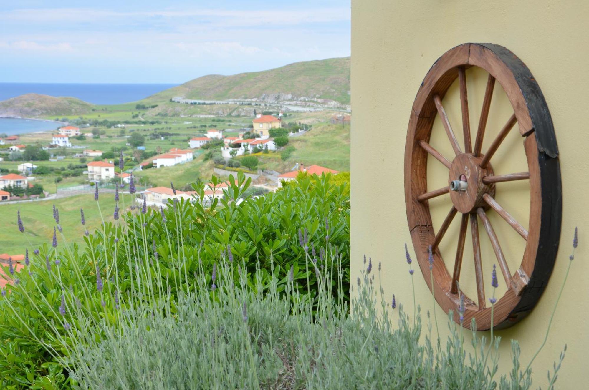 Hotel Dina - Ξενοδοχείο Ντινα Plati  Exterior foto