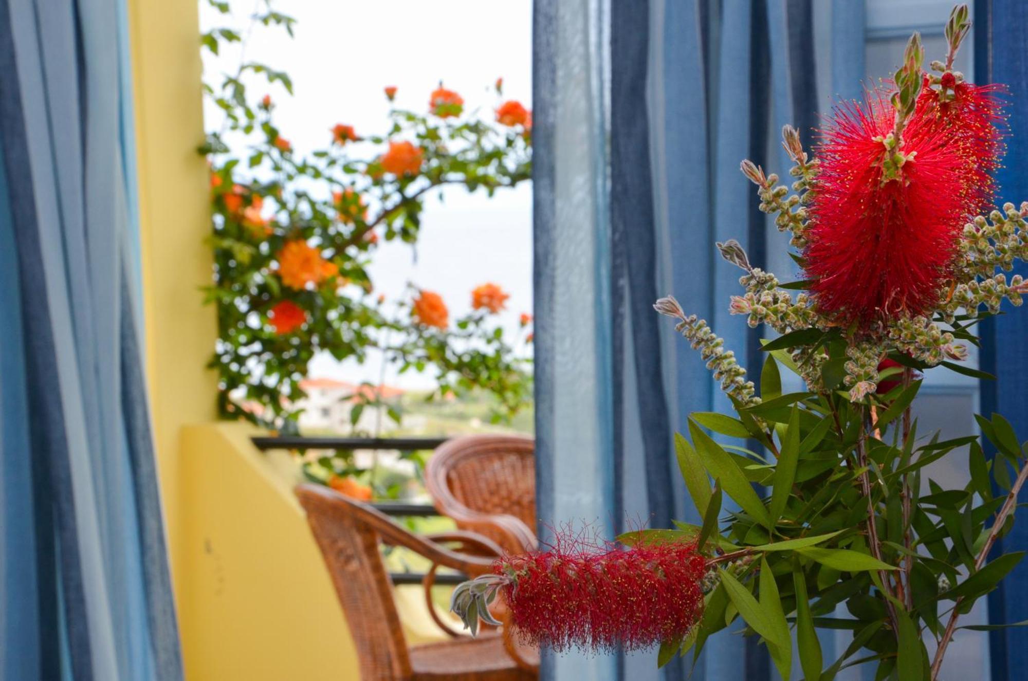 Hotel Dina - Ξενοδοχείο Ντινα Plati  Exterior foto